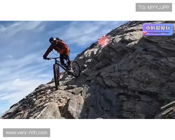 欧洲自行车赛环法拉松赛，骑手们挑战极限，欧洲自行车协会